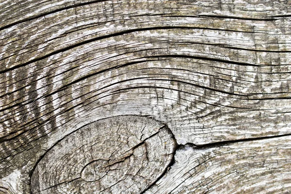 Pattern wooden gray rotten Board close up
