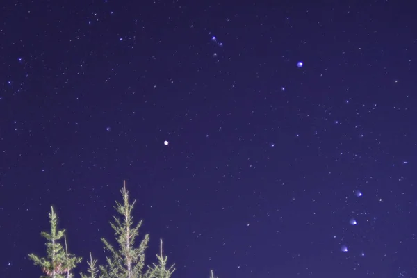 Photo of the starry sky on the background of the forest