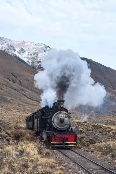 Esquel Argentine Avril 2018 Viejo Expreso Patagonico Anglais Connu Sous — Photo