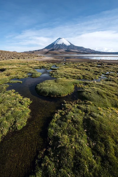 Vulcão Parinacota Coberto Neve Refletido Lago Chungara Chile — Fotografia de Stock