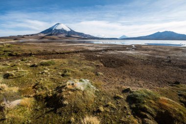 Lake Chungara, Şili yansıyan Parinacota volkan kar maskeli