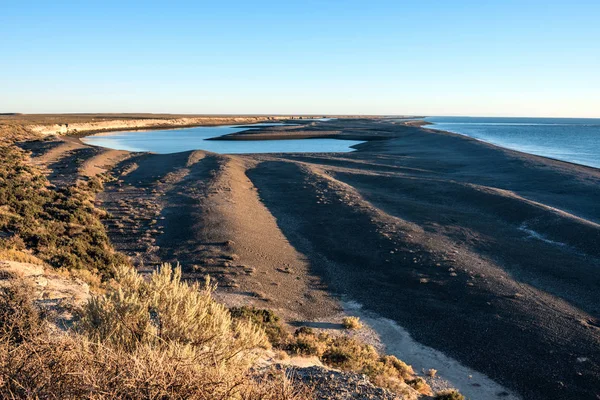 Wybrzeża Patagonii Półwyspie Valdes Argentyna — Zdjęcie stockowe