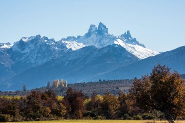 National Park Los Alerces, Chubut Province, Patagonia, Argentina clipart