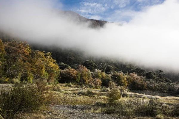 Kora Reggeli Késő Ősszel Nemzeti Park Los Alerces Chubut Tartomány — Stock Fotó