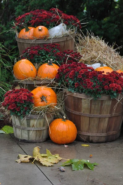 Huis Ingericht Met Pompoenen Herfstbladeren Voor Thanksgiving Day Halloween New — Stockfoto
