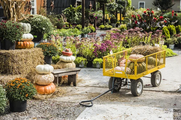 Pumpkins at the farmers market during the Halloween Holidays, US — Stock Photo, Image
