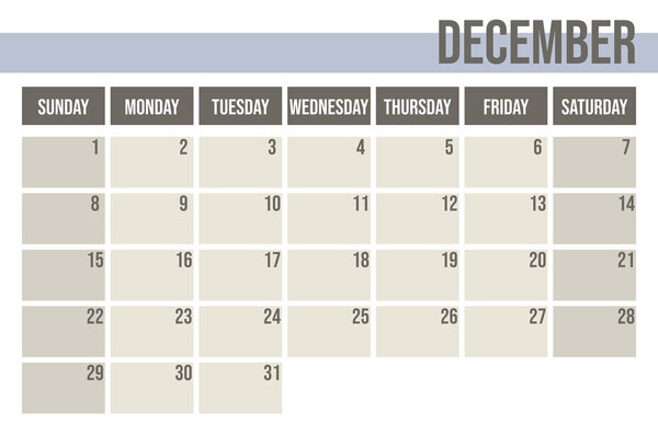 Calendar planner 2019. Monthly planner. December.