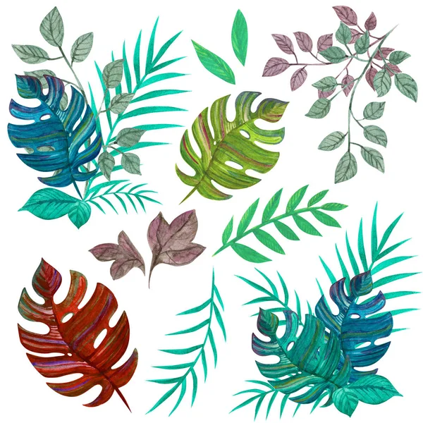 Tropical plants. Leaves. Green jungle. Watercolor set.