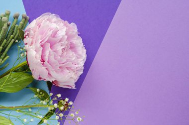 Çiçekler ile kompozisyon. Peonies. Kadın kartları