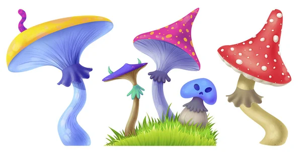 Threat of poisonous mushrooms. Fly agaric. toadstool. — Stock Fotó