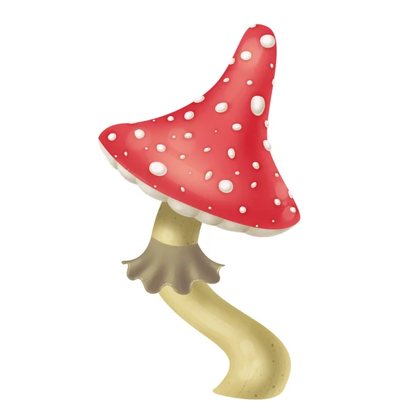 Flyga Agaric. Farlig giftig svamp. Illustration raster — Stockfoto