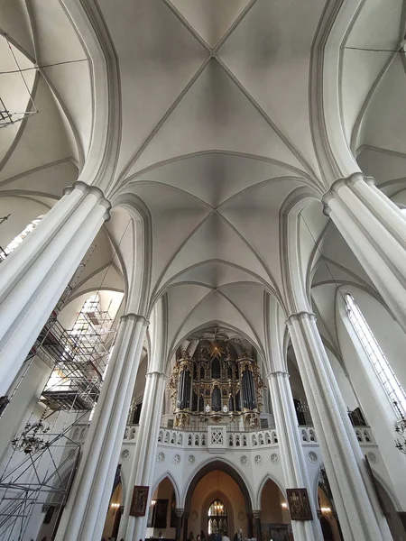 Iglesia de Santa María. Catedral adentro. Las bóvedas . — Foto de Stock