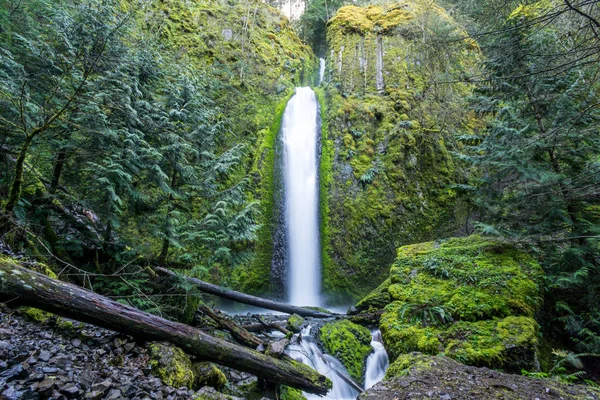 Gorton Creek Falls Columbia River Gorge Oregon Avskild 150 Fot — Stockfoto