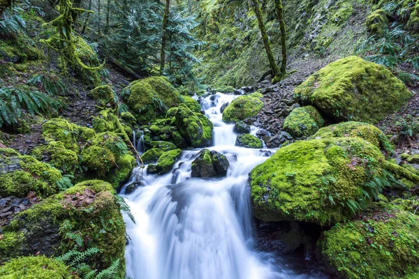 Cascading Waterfalls Stream Moss Covered Rocks Iconic Oregon Image Pacific — Stock Photo, Image