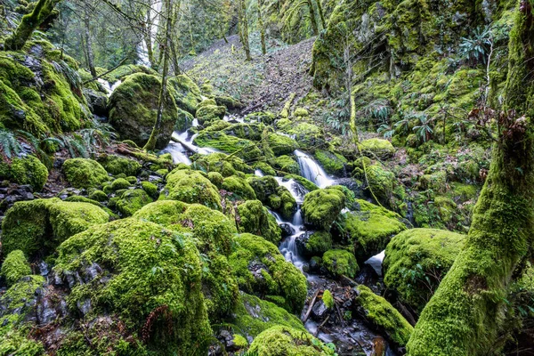 Mossy Rocks Creek Oregon Famous Columbia River Gorge Pacific Northwest — Stock Photo, Image