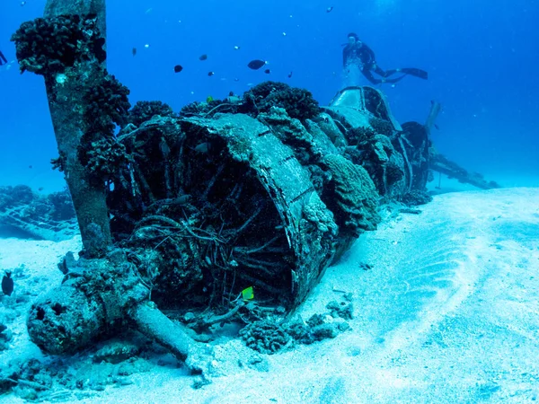 2. Dünya Savaşı (İkinci Dünya Savaşı) - tüplü dalış Oahu, Hawaii Corsair uçak enkazından