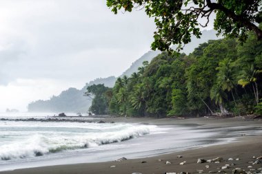 Gözlerden uzak, plaj ve orman Corcovado Milli Parkı, Kosta Rika, boş