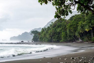 Secluded, Empty Beach and Jungle at Corcovado National Park, Costa Rica clipart