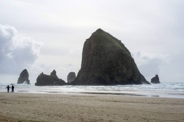Haystack Rock top Beach, Oregon Pacific Coast