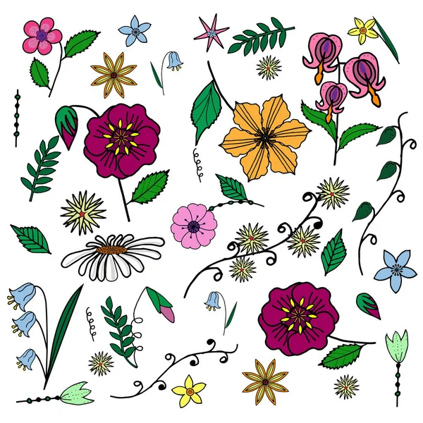 Sada Květy Ručně Kreslenou Doodle Větve Listy Izolované Bílém Vektorový — Stockový vektor