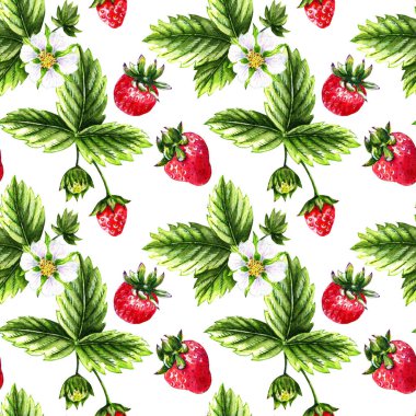 suluboya, beyaz arka planda çilek deseni.