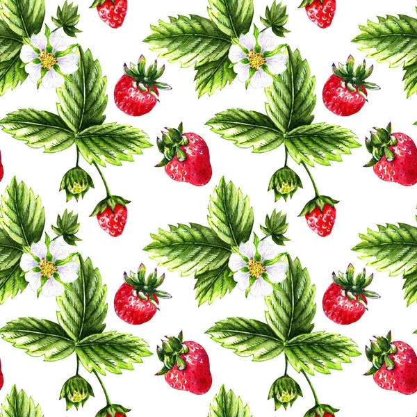 watercolor seamless fruits pattern of strawberries on a white background