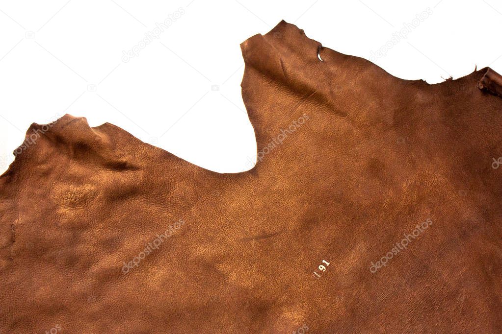 Piece of natural brown leather. Materials for leather craft. Copy space. Top view. Handmade craft. Isolated in white