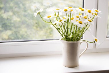 Camdaki vazoda papatya buketi