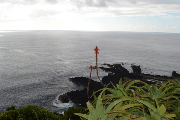 Azores Portekiz Sao Miguel Atlantik Okyanusu Yeşil Ada Göller Vulkan — Stok fotoğraf