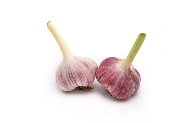 Frischer Knoblauch Auf Weißem Hintergrund — Stockfoto