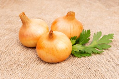 Keten ya da jüt çuvalı ya da kumaş yumruklu beyaz soğan başlıkları.