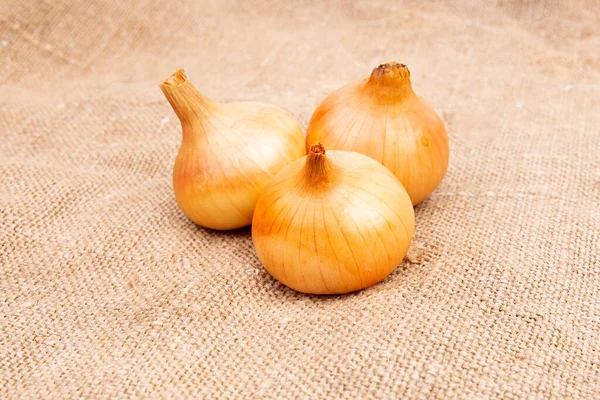 Weiße Zwiebelköpfe Auf Säcken Aus Leinen Oder Jute Oder Stoff — Stockfoto