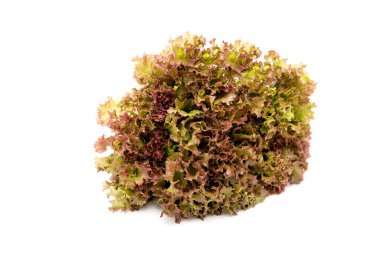 İzole edilmiş beyaz arka planda taze yeşil marul salatası