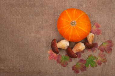 Turuncu balkabağı ve sonbahar yaprakları çuval bezinde yalıtılmış.