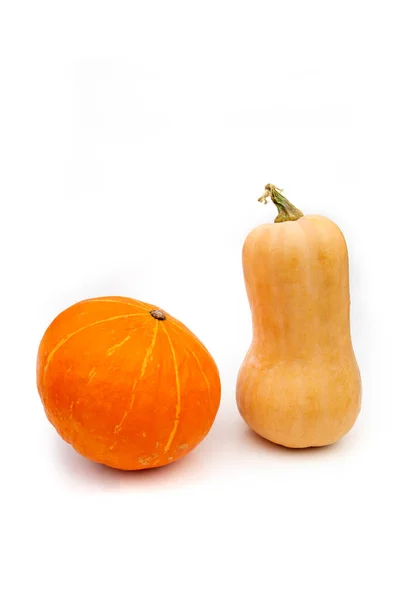 Calabaza Aislada Sobre Fondo Blanco —  Fotos de Stock