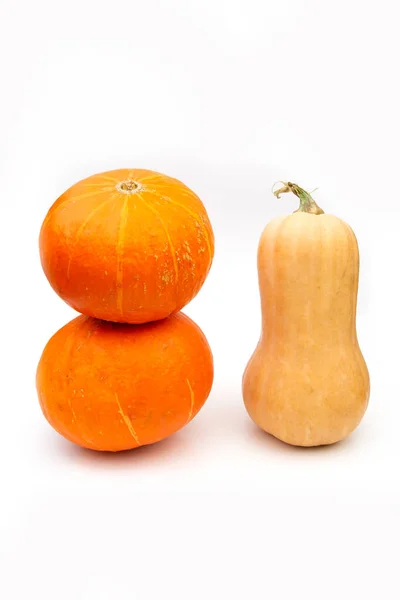 Calabaza Aislada Sobre Fondo Blanco — Foto de Stock