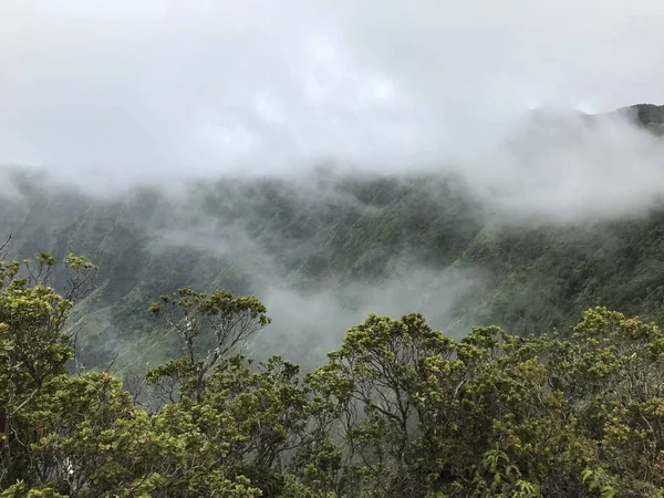 Bir bulutlu gün boyunca Waimea Kanyon sis Kokee Park