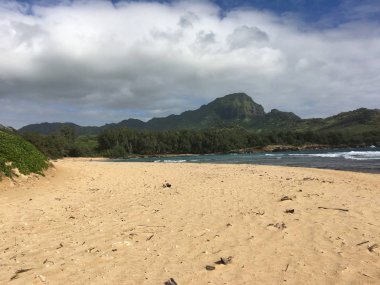 Kauai beach gillin'ın