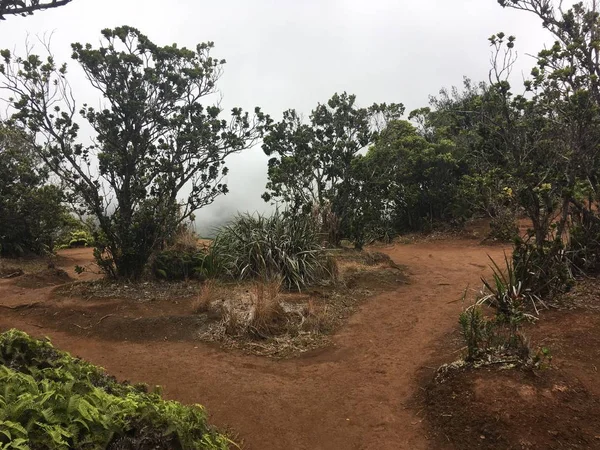 Hareketli sis ile Pihea iz