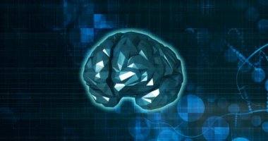 Davranış Bilimleri ve teknoloji yenilik kavramı döngü