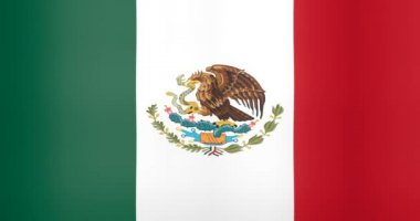 Arka plan döngü Meksika bayrağı sallayarak