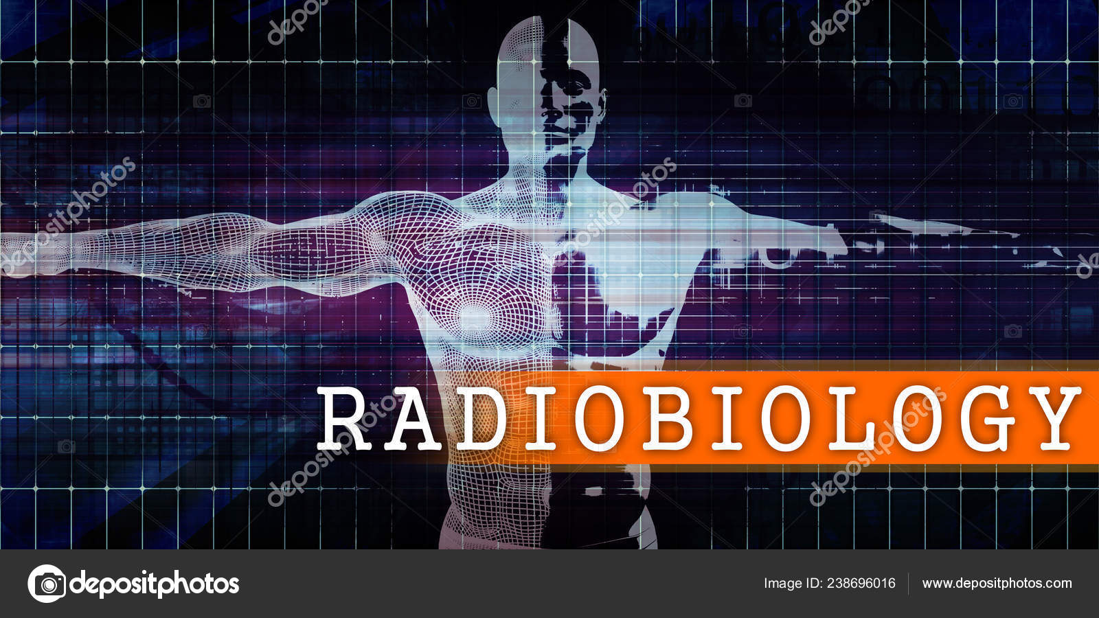 Body　Photo　©kentoh　Scan　Concept　Stock　by　Human　Radiobiology　Industry　Medical　238696016