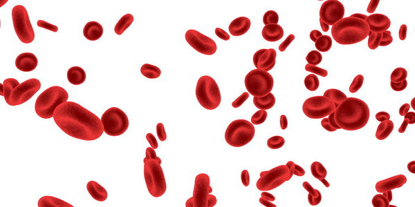Blood Cells Circulation