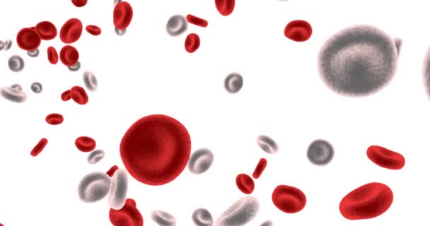 Blood Cells as a Science Concept Abstract — Stock Video