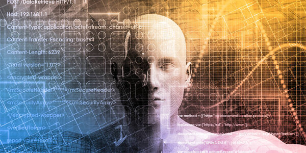 веб разработка