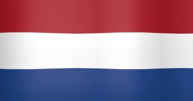 Hollanda Döngü Arka Plan Dalgalı Bayrak