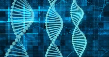 DNA Protein Sanatının Genetik Kod Dizisi