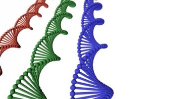 DNA Protein Sanatının Genetik Kod Dizisi