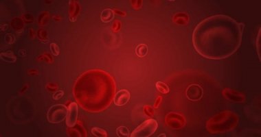Dolaşım Sisteminde Kırmızı Kan Hücreleri Akıyor