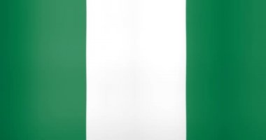 Nijerya Looping Arka Plan Dalgalı Bayrak